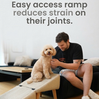 DOG RAMP OTTOMAN