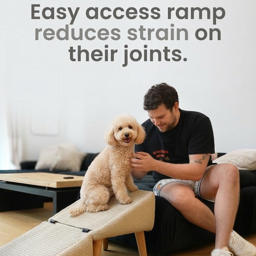 DOG RAMP OTTOMAN