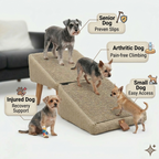 DOG RAMP OTTOMAN